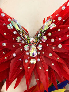 Da Neena FTG Feather Drag Bra Skirt Belt Gay Pride Parade Costume Set XS-XL