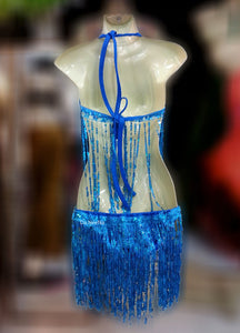 Da NeeNa M677 Dancing Star Latin Tango Showgirl Vegas Stage Fringe Dress XS-XL
