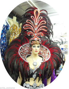 Da NeeNa HRED Showgirl Drag Carnival Backpiece Headdress
