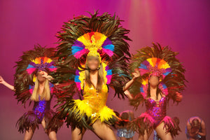 Da NeeNa U001 Cabaret Vegas Showgirl Drag Dress Costume