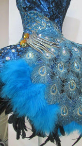 Da NeeNa C083 Peacock Queen Showgirl Vegas Cabaret Dance Dress XS-XL