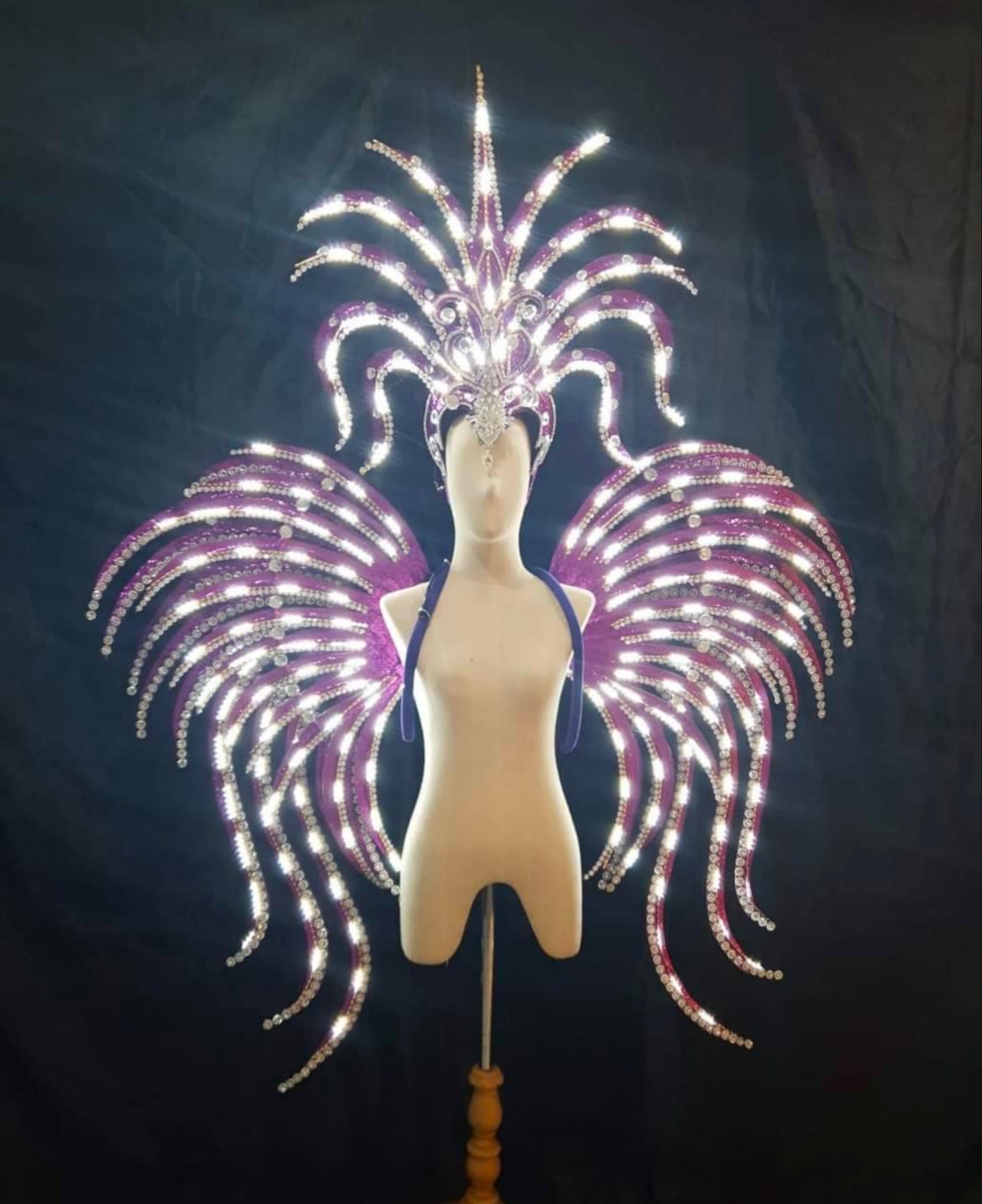 Da NeeNa C710L Spark Bird Showgirl Dance Vegas Crystal Angel Wings Backpack