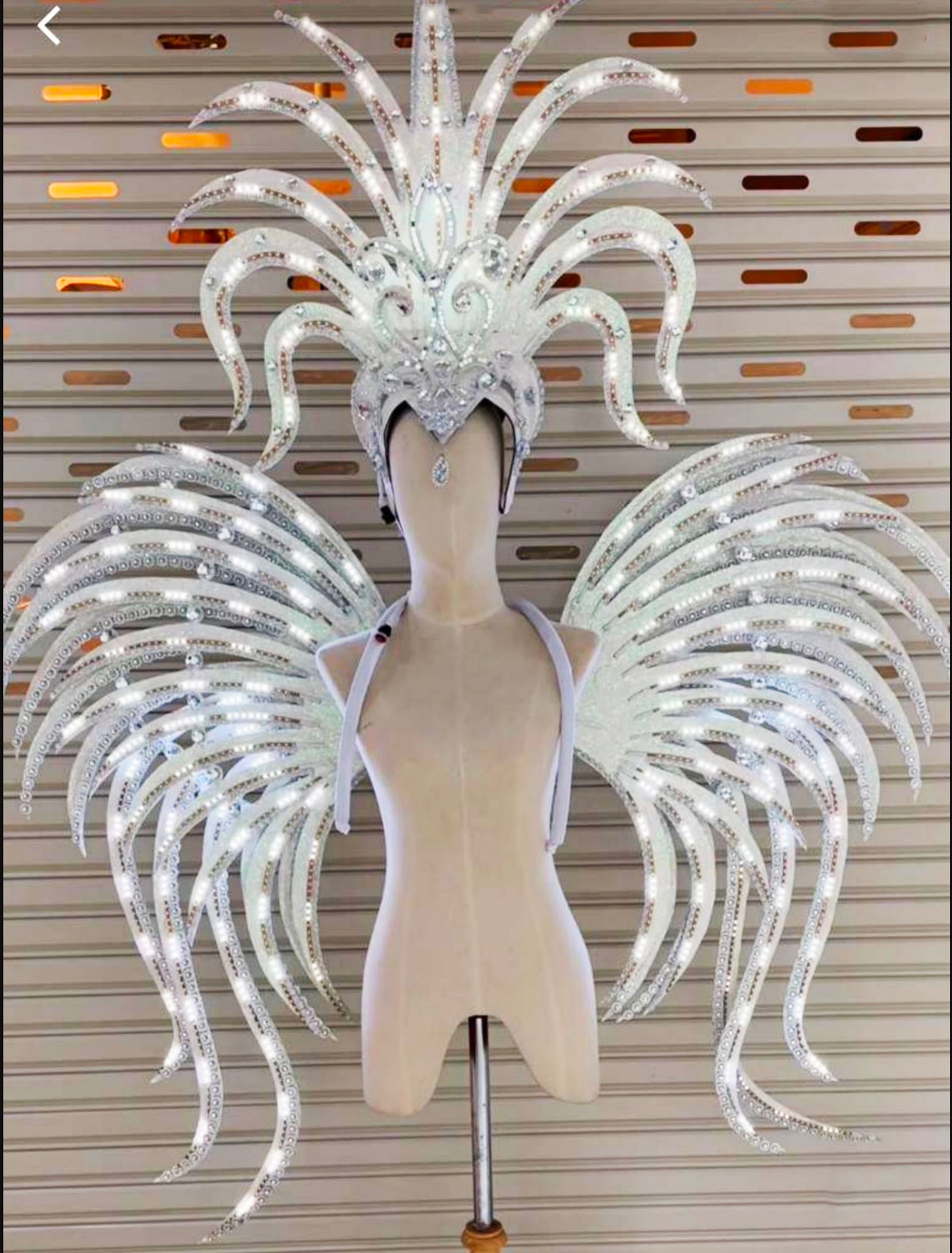 Da NeeNa C710L Spark Bird Showgirl Dance Vegas Crystal Angel Wings Backpack