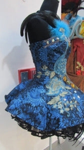Da NeeNa C083 Peacock Queen Showgirl Vegas Cabaret Dance Dress XS-XL
