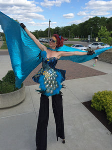 Da NeeNa M077 Showgirl Vegas Pageant Burlesque Feather Peacock Dance Dress XS-XL