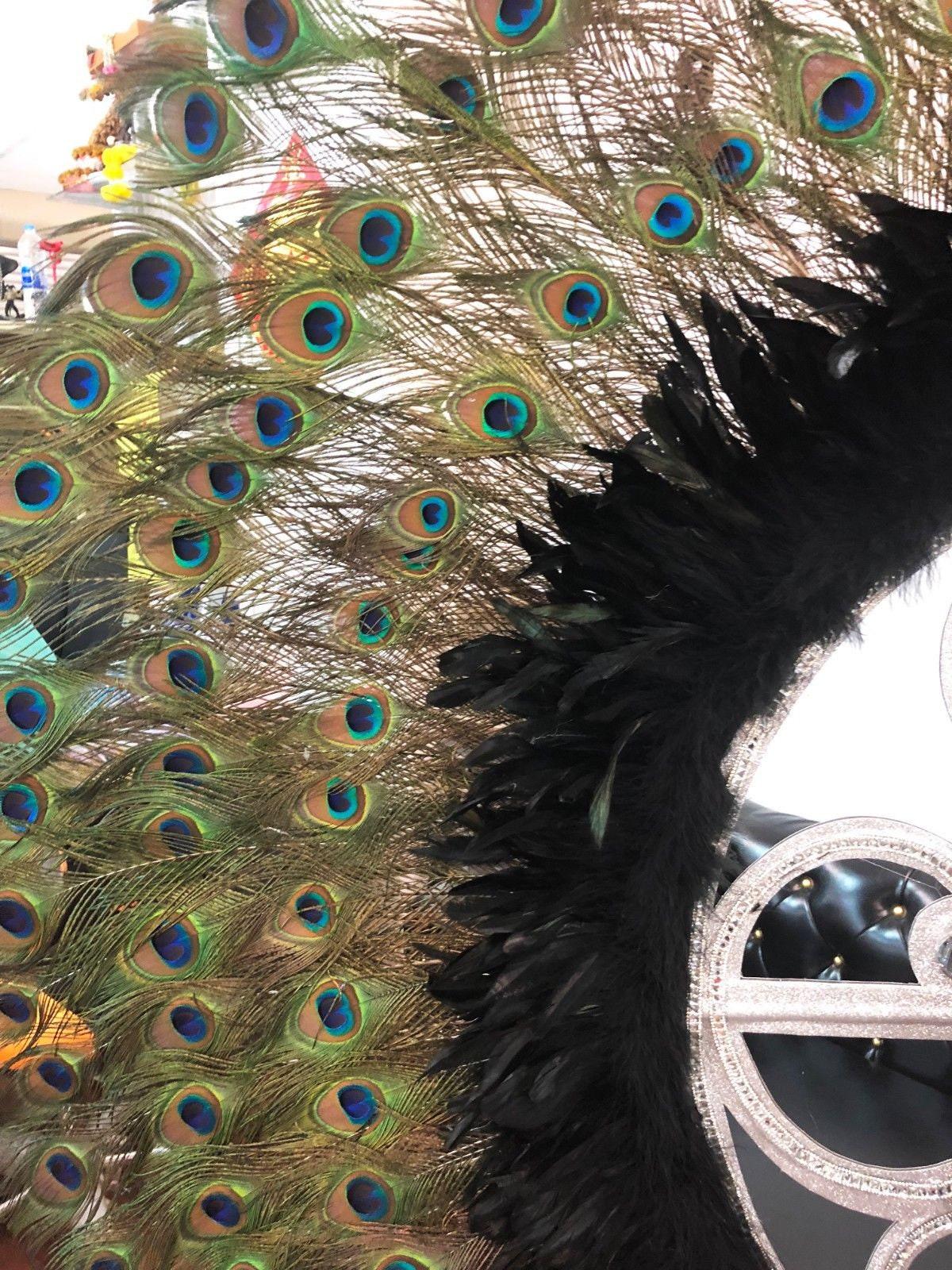 Da neena b905 peacock angel showgirl vegas pageant feather wings backpiece