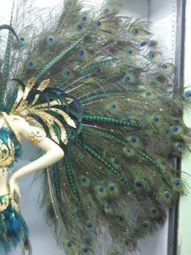 Da neena c020 show vegas feather peacock angel wings backpiece