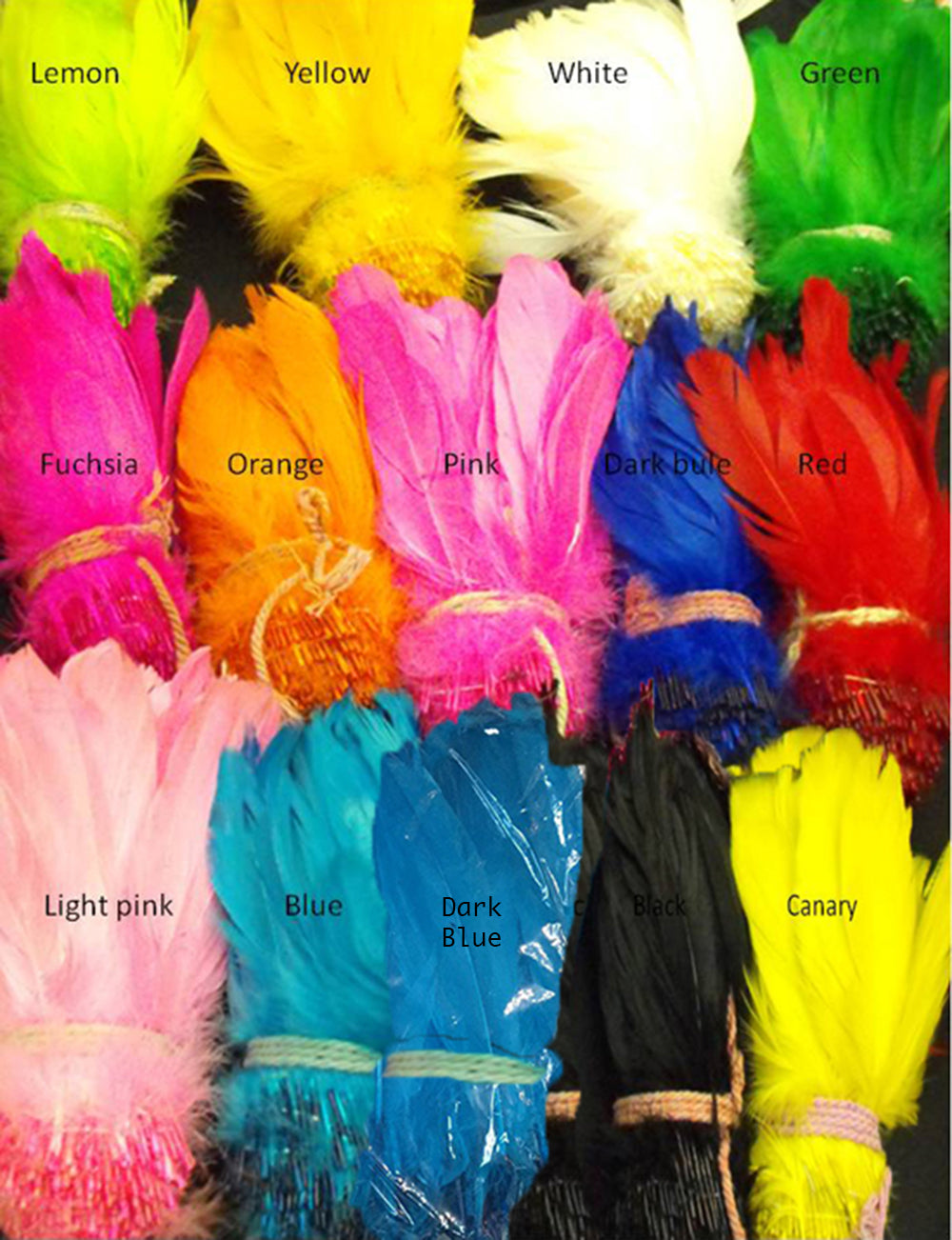 EVITA RB Rainbow Drag Burlesque Vegas Feather Shoulder Pieces