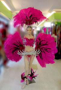 Da NeeNa C075 Samba Parade Carnival Brazil Feather Headdress Costume Set XS-XL