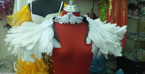 Da NeeNa B022 Vegas Showgirl Feather Backpiece Wings Shoulder Collar