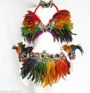 Da NeeNa C027 Samba Parade Carnival Rio Feather Headdress Costume Set XS-XL