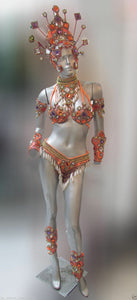 Da NeeNa B0399 Showgirl Vegas Samba Brazil Feather Pink Kitty Backpiece