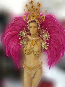 Da NeeNa B0399 Showgirl Vegas Samba Brazil Feather Pink Kitty Backpiece