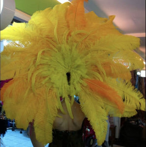 Da NeeNa H130 Mirror Ostrich Feather World Samba Rio Crystal Parade Headdress