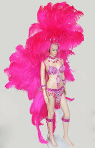 Da NeeNa C046 Samba Parade Carnival Brazil Feather Headdress Costume Set XS-XL