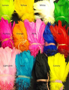 Da NeeNa FTR1 Samba Parade Carnival Dancer Feather Headdress Costume Set XS-XL