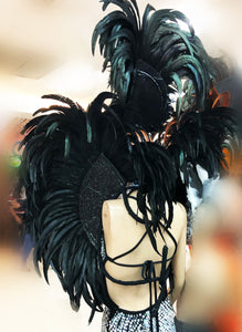 Da NeeNa C928H Modern Girl Crystal Pageant Samba Dancer Headdress Backpiece