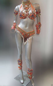 Da NeeNa T026C Samba Parade Drag Carnival Rio Dancer Costume Set XS-XL