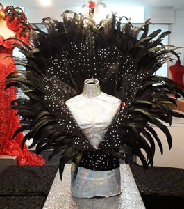 Da NeeNa B880 Witch Queen Dance Samba Pageant Vegas Crystal  Shoulder Pieces Backpiece