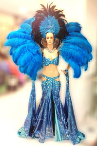 Da NeeNa C662 Queen of Paradise Samba Crystal Headdress Costume set XS - XL