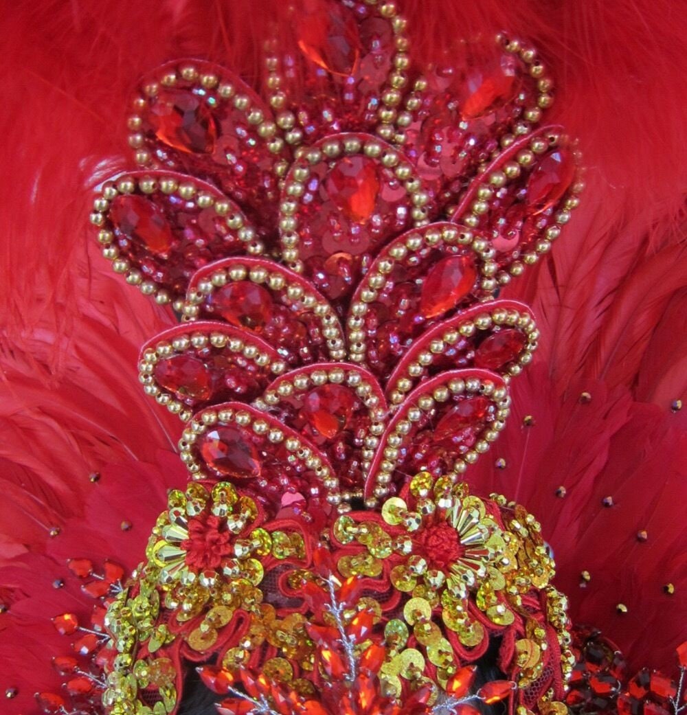 Da NeeNa B0399HB Showgirl Vegas Samba Brazil Feather Kitty Headdress Backpiece