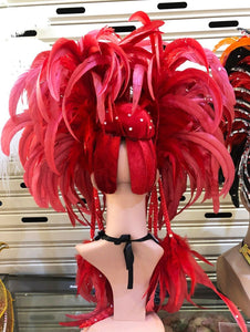 Da NeeNa H902 Queen of Red Eagle Crystal Cabaret Showgirl pageant Headdress