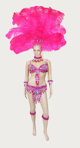 Da NeeNa C046H Samba Parade Carnival Brazil Feather Headdress Costume Set XS-XL