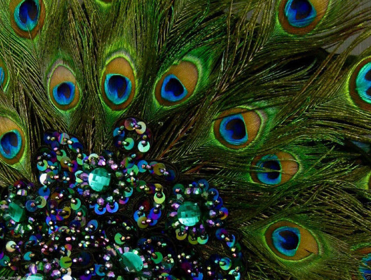 Da NeeNa Peacock Feather Cabaret Dancer Samba Headdress