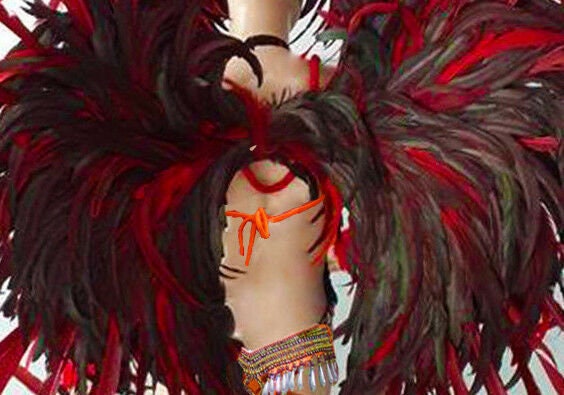 Da NeeNa C058L Showgirl Burlesque Brazil Samba Leg Pieces