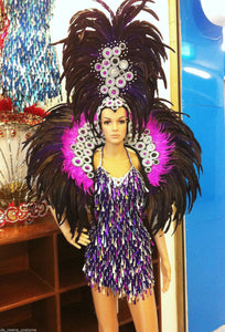 Da NeeNa C041 Vegas Cabaret Showgirl Dancer Stage Burlesque Costume set