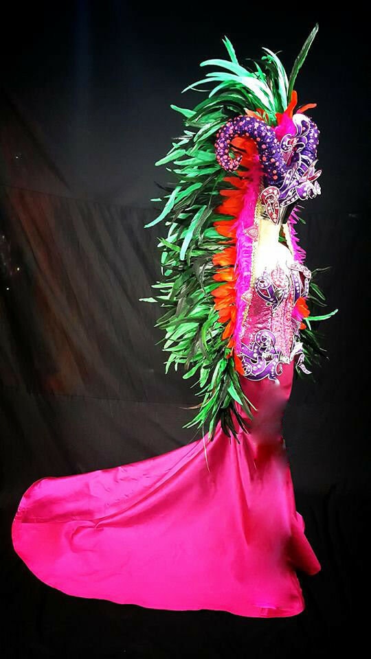 Da NeeNa H872 The Pocahontas Alien Dance Showgirl Samba Pageant Crystal Headdress