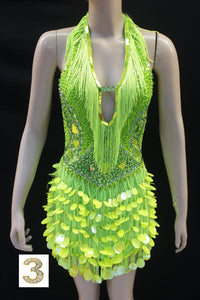 Da NeeNa M1025  Grand Salsa Latin Samba Drag Queen Pageant Dance Dress XS-XL