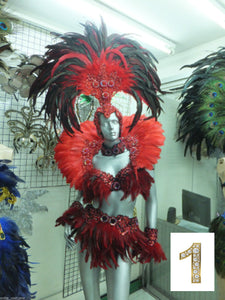 Da NeeNa C027 Samba Parade Carnival Rio Feather Headdress Costume Set XS-XL