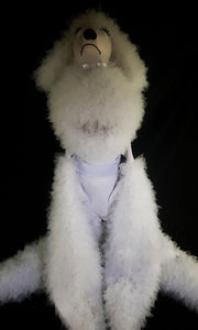 Da NeeNa HUT C1048 Poodle Superdog Showgirl Vegas Headdress Pageant Costume Set